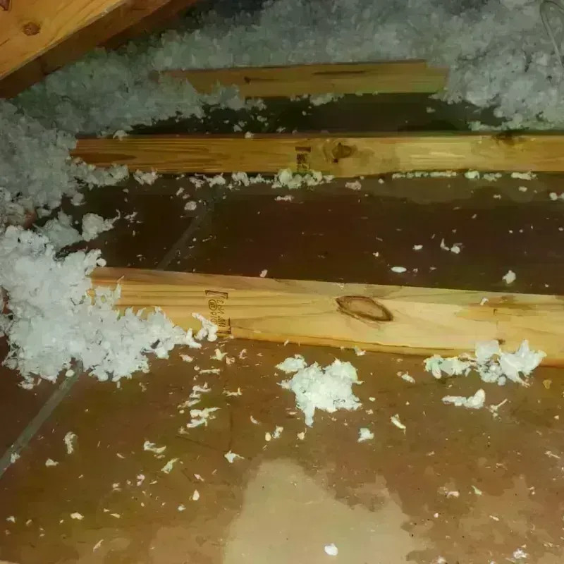 Attic Water Damage in Fairwood, WA