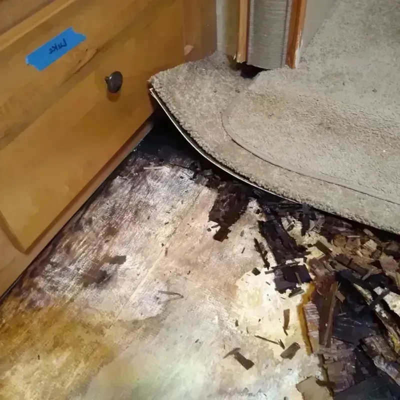 Wood Floor Water Damage in Fairwood, WA